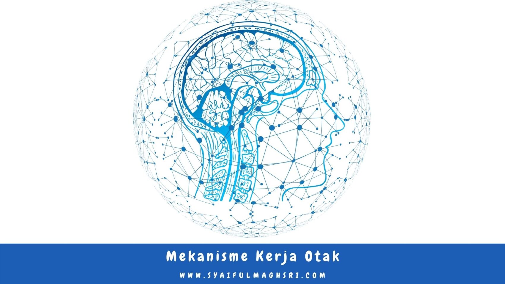 Mekanisme Kerja Otak - Syaiful Maghsri.com