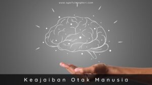 Keajaiban Otak Manusia - Syaiful Maghsri.com