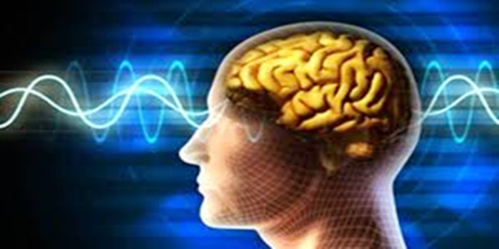 Cara Meningkatkan Kinerja Otak