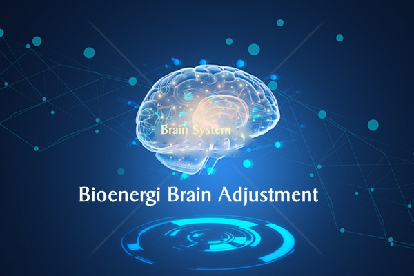 Bioenergi Brain Adjustment